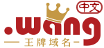 中文.wang域名注冊(cè) 中文.wang域名